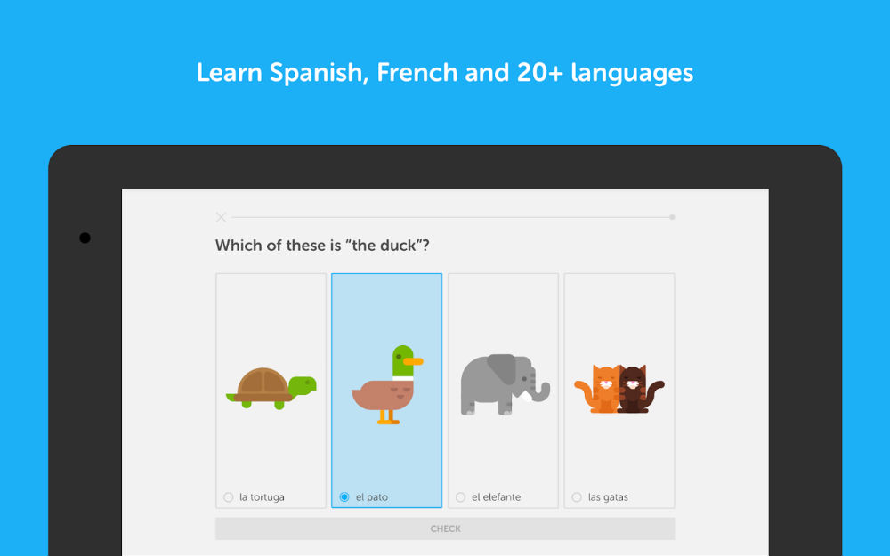 DuoLingo