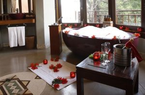 thanda safari lodge