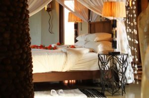 thanda safari lodge