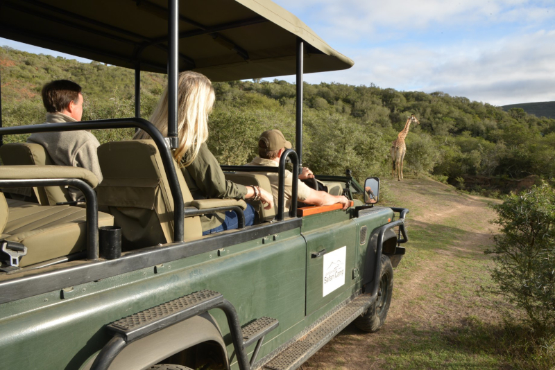 Garden Route Safari Camp