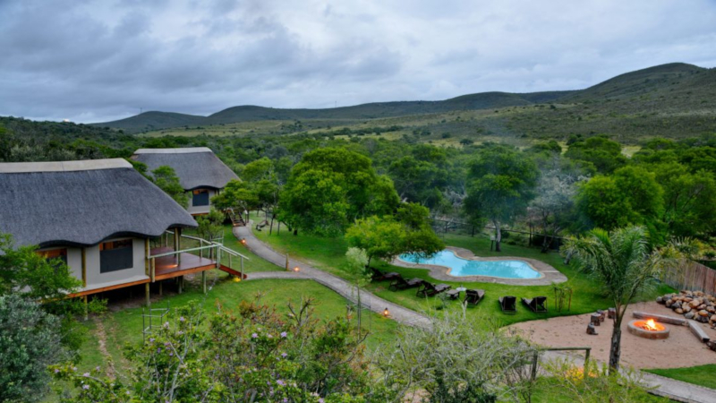 Garden Route Safari Camp