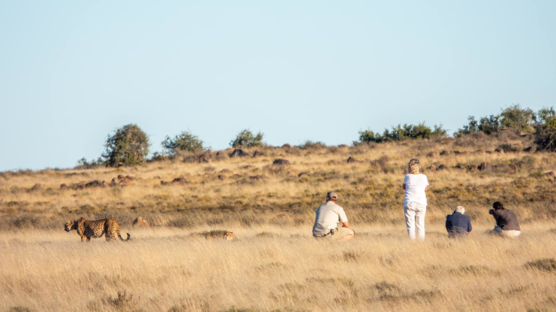 Samara Karoo Reserve