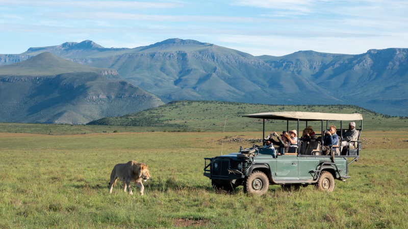 Samara Karoo Reserve