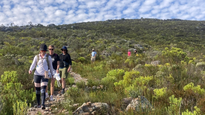 De Hoop Vlei to Whales Trail